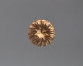 Tunduru Garnet .78 ct.  Round