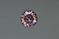 Mozambique Zircon .86 ct. Round