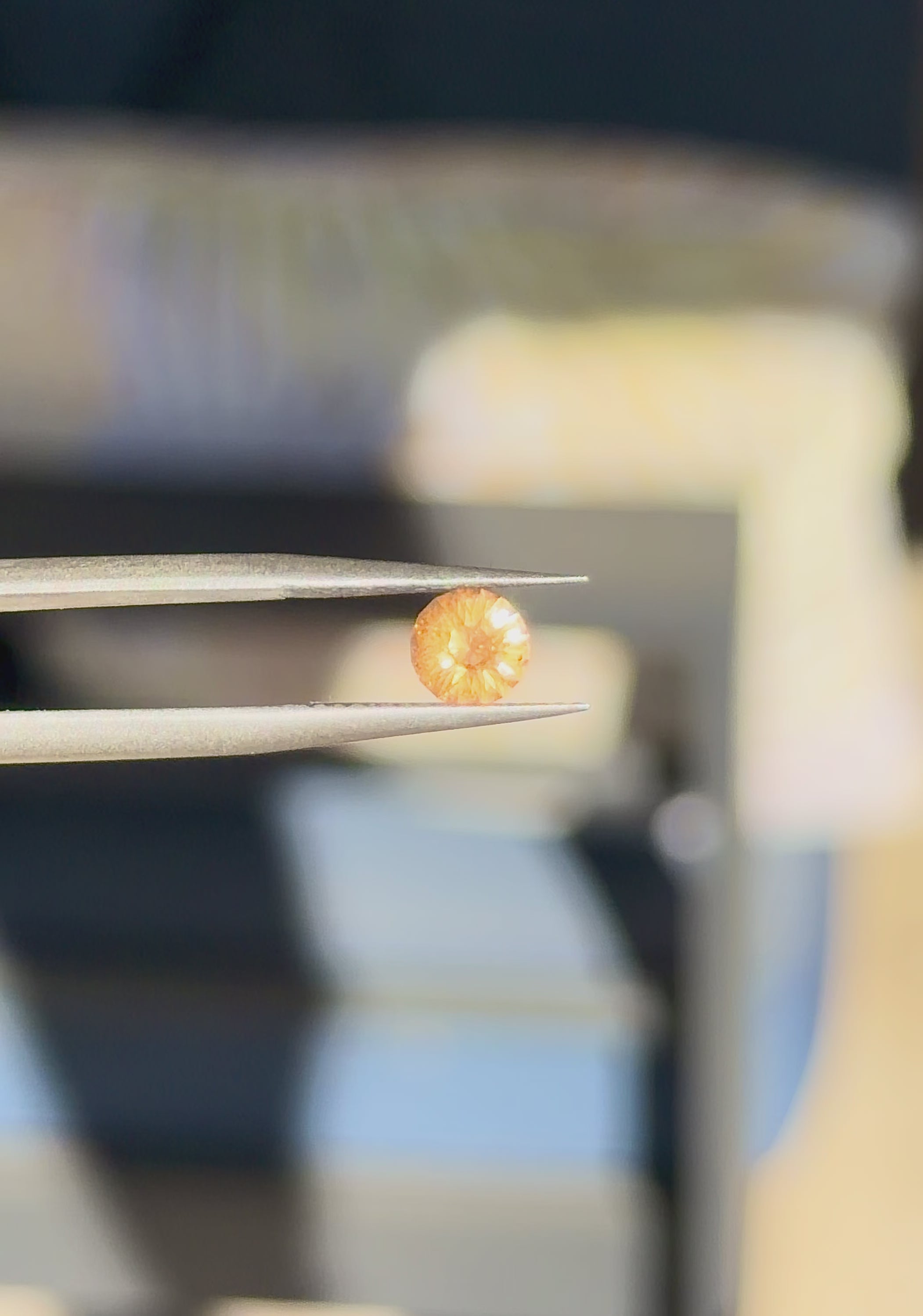 Tunduru Garnet .78 ct.  Round