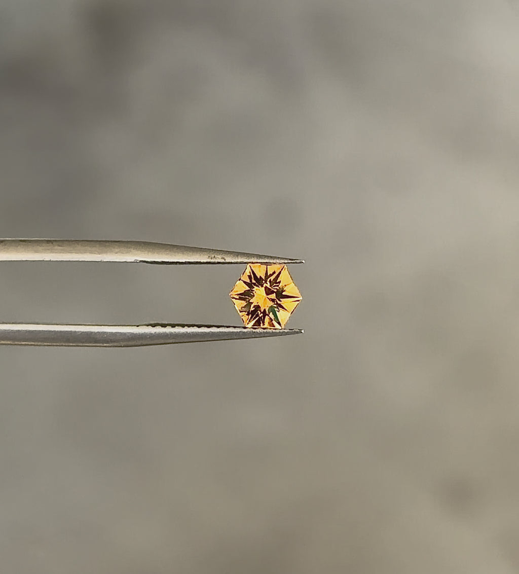 Tunduru Garnet .77 ct. Hexagon