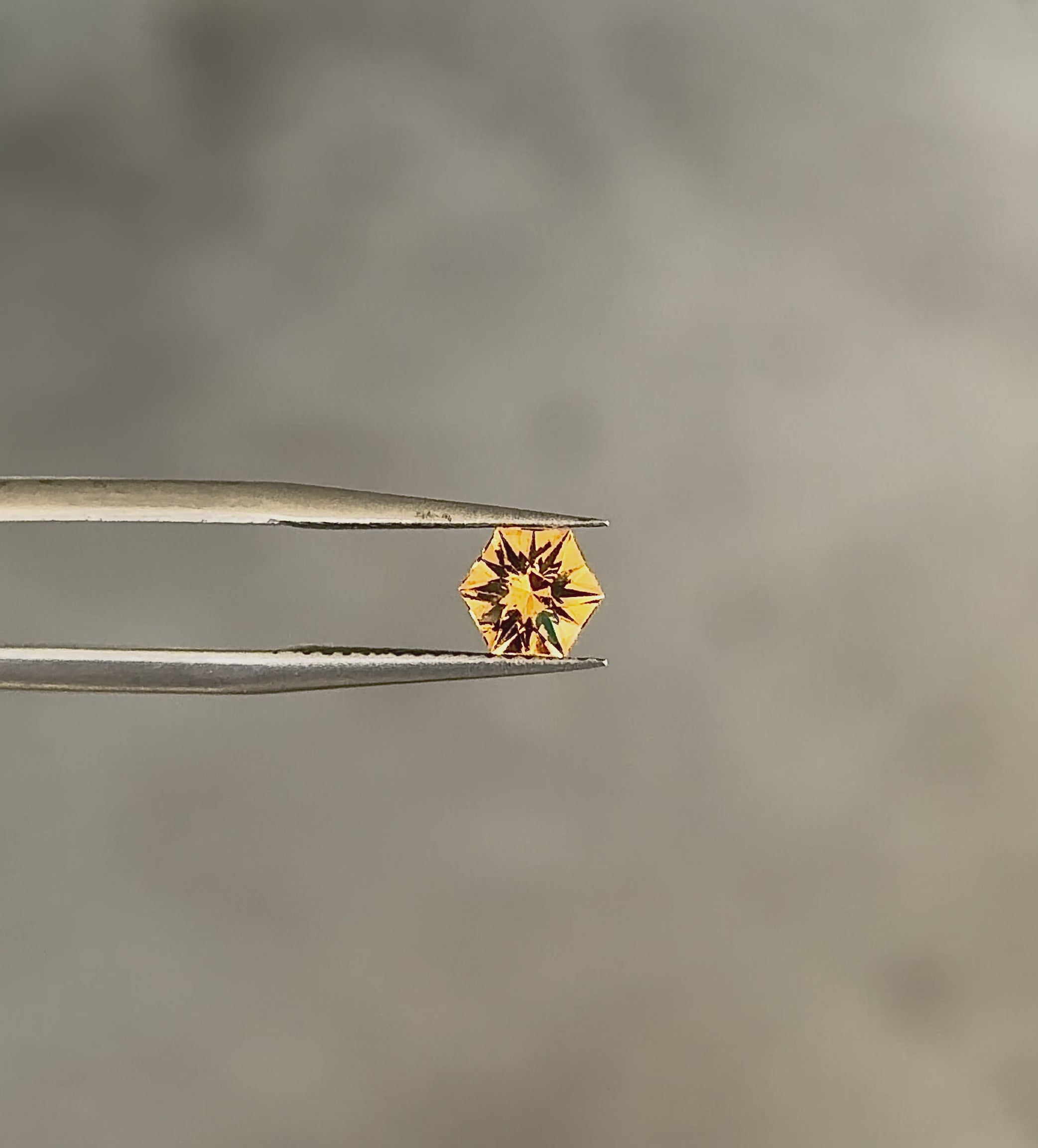 Tunduru Garnet .77 ct. Hexagon