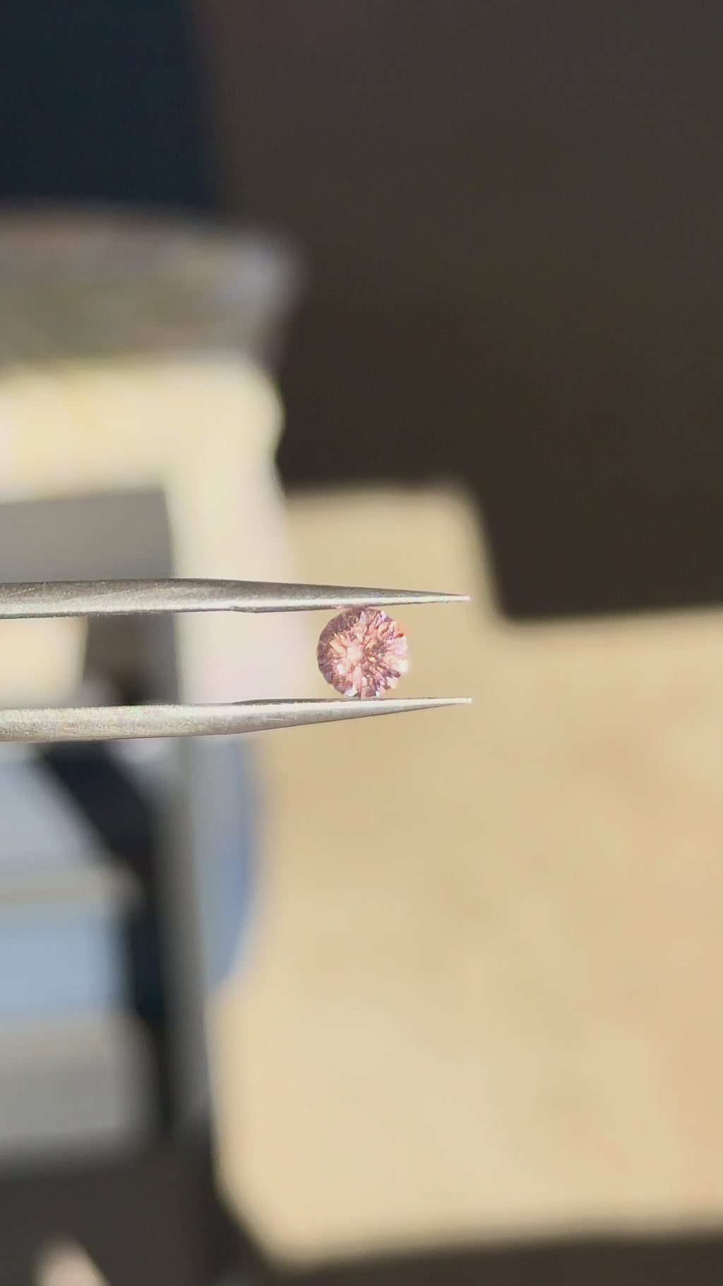 Tunduru Garnet .67 ct.  Round