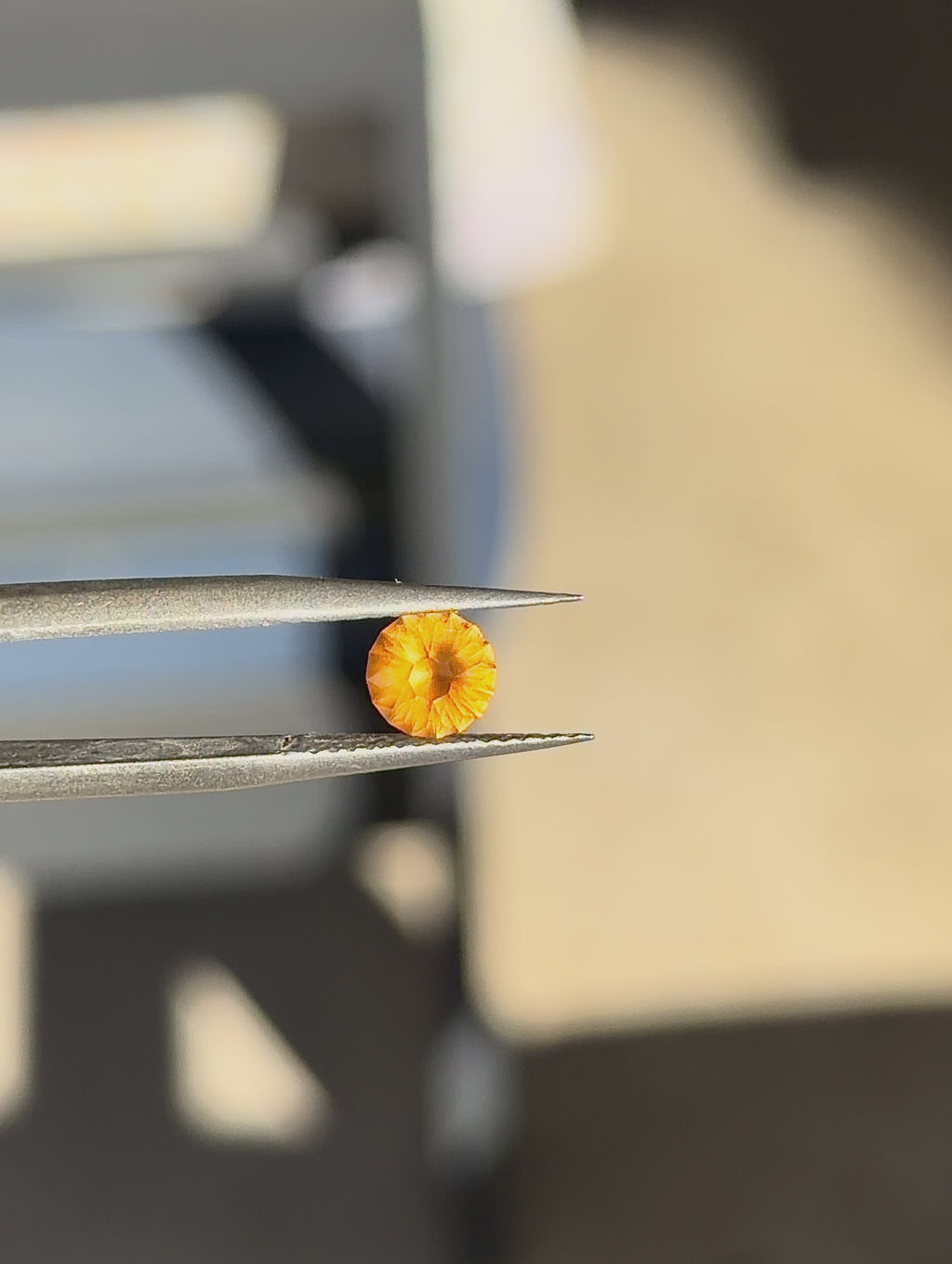 Tunduru Garnet  .82 ct.  Round