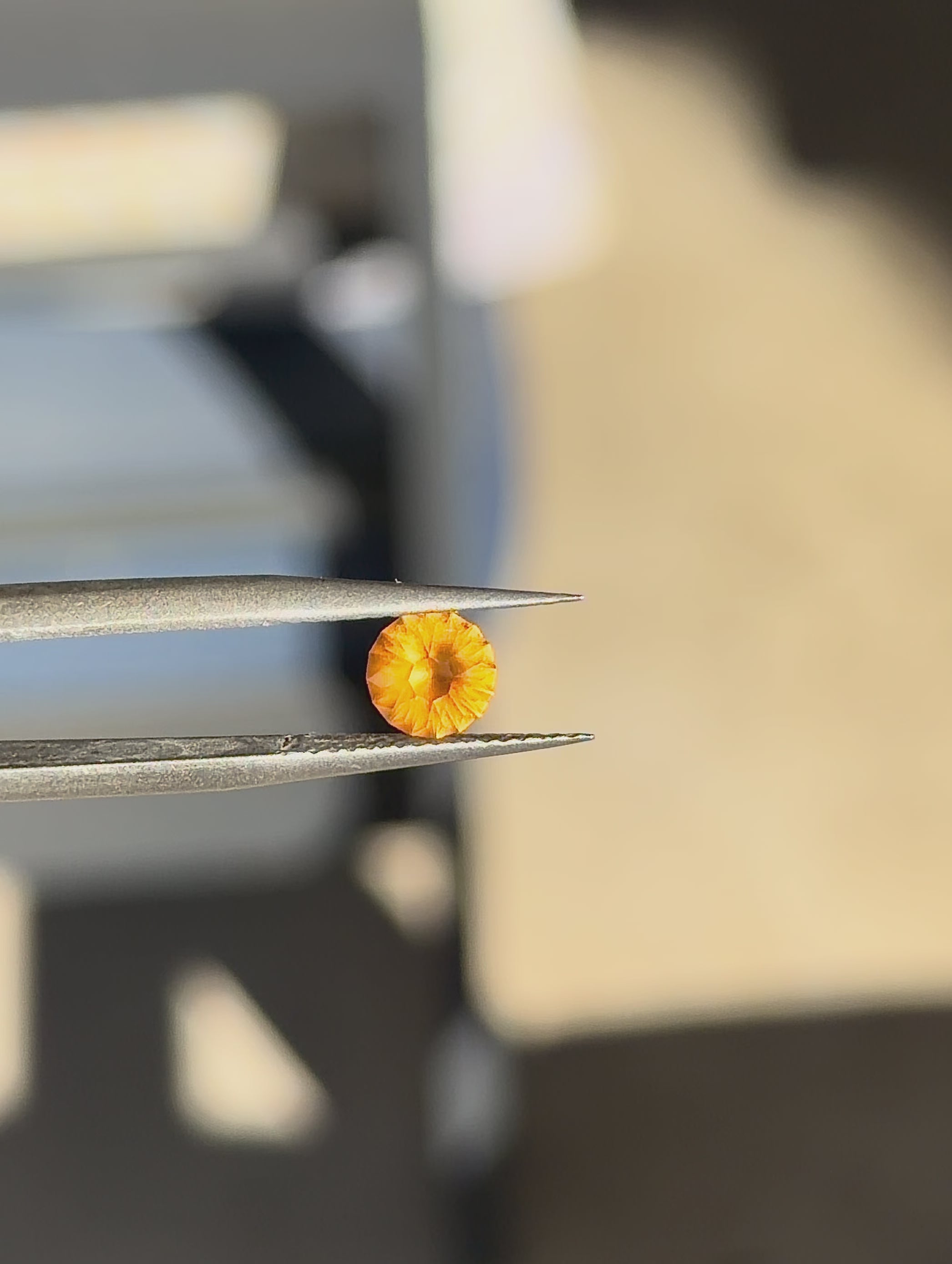 Tunduru Garnet  .82 ct.  Round