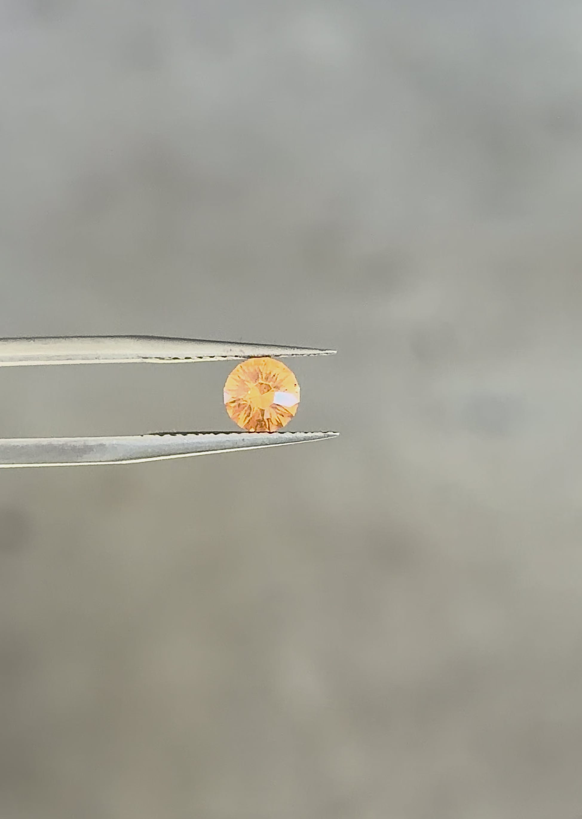 Tunduru Garnet .78 ct.  Round