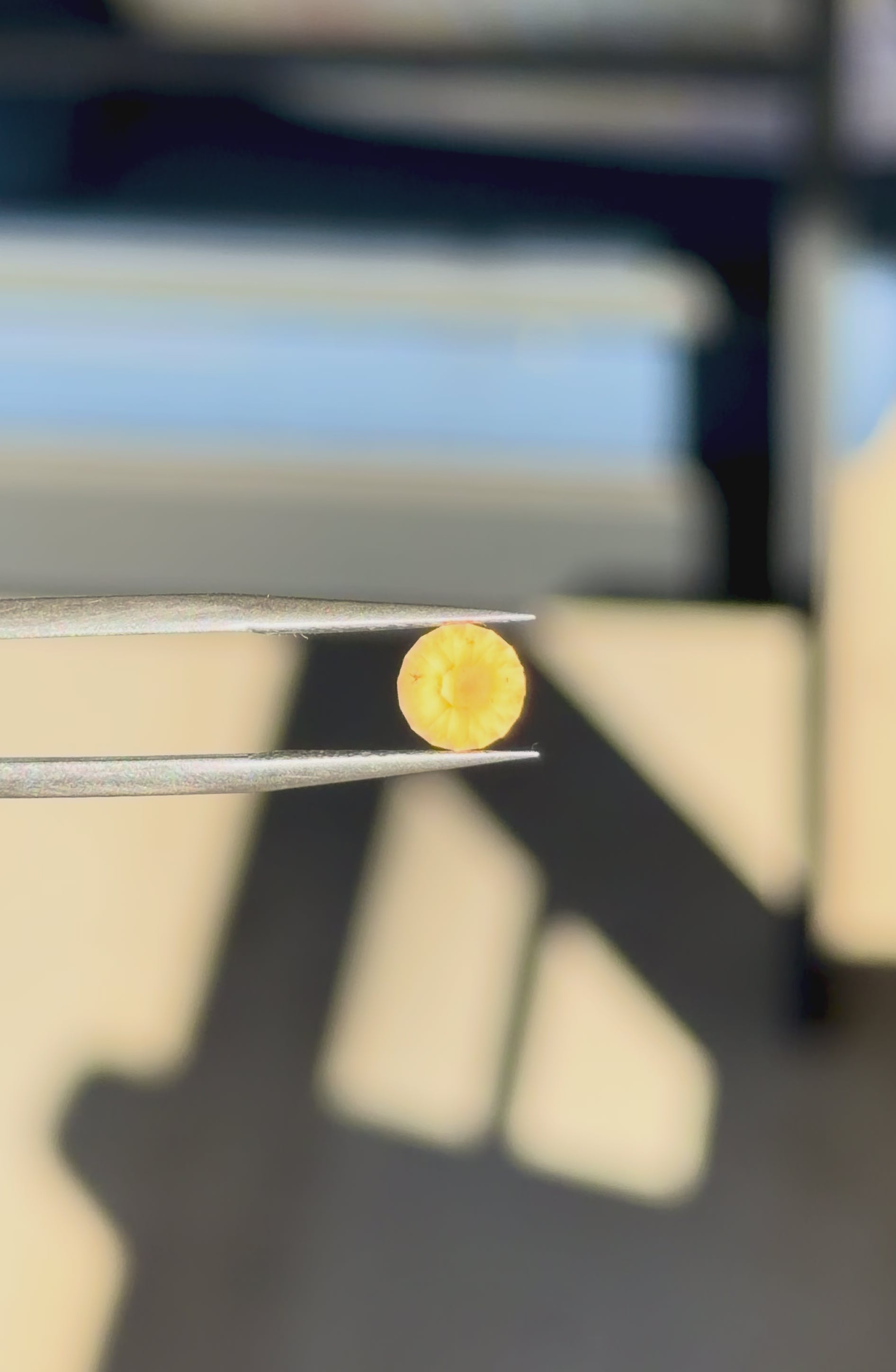 Tunduru Garnet 1.1 ct. Round