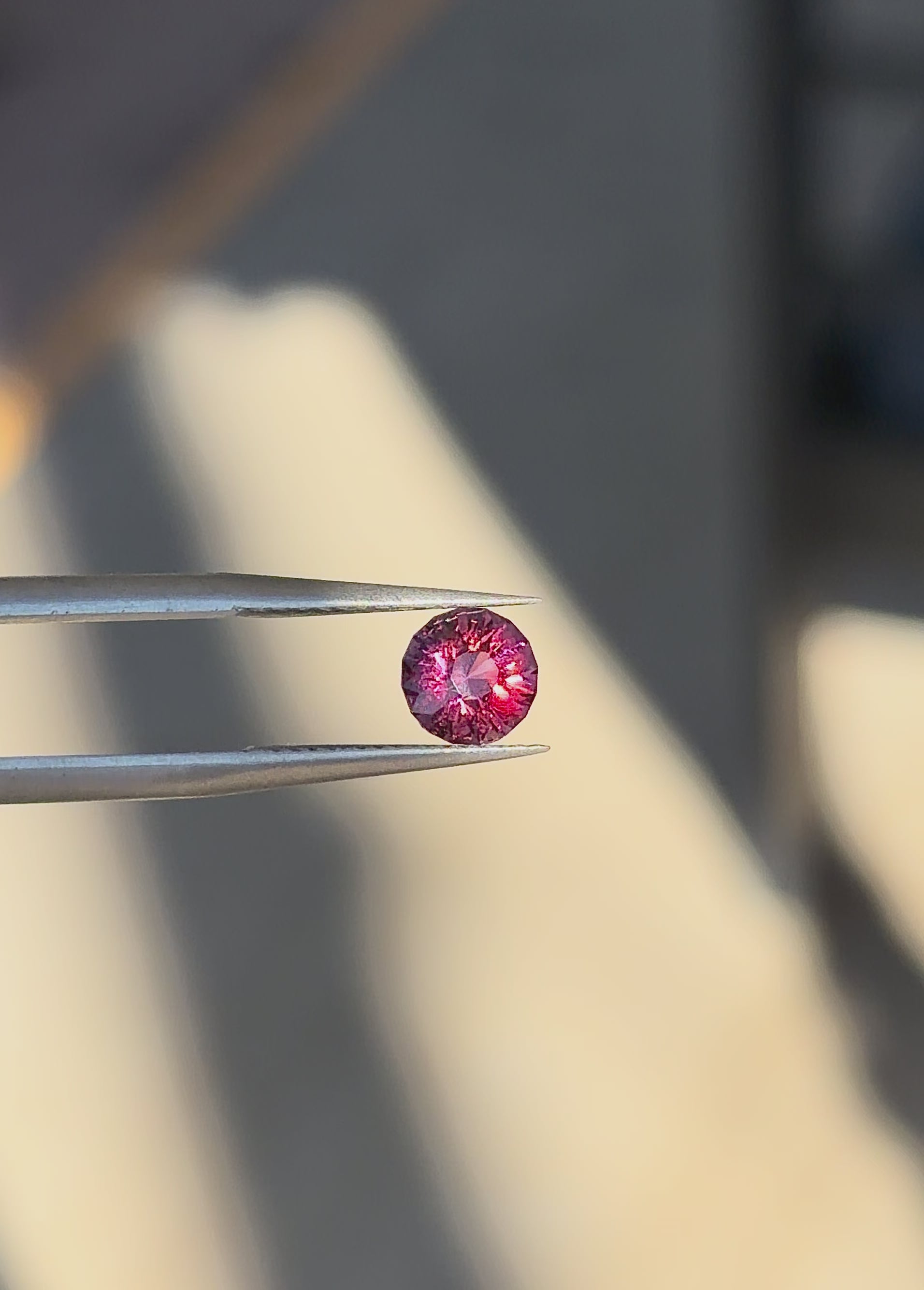 Tunduru Garnet 1 ct. Round