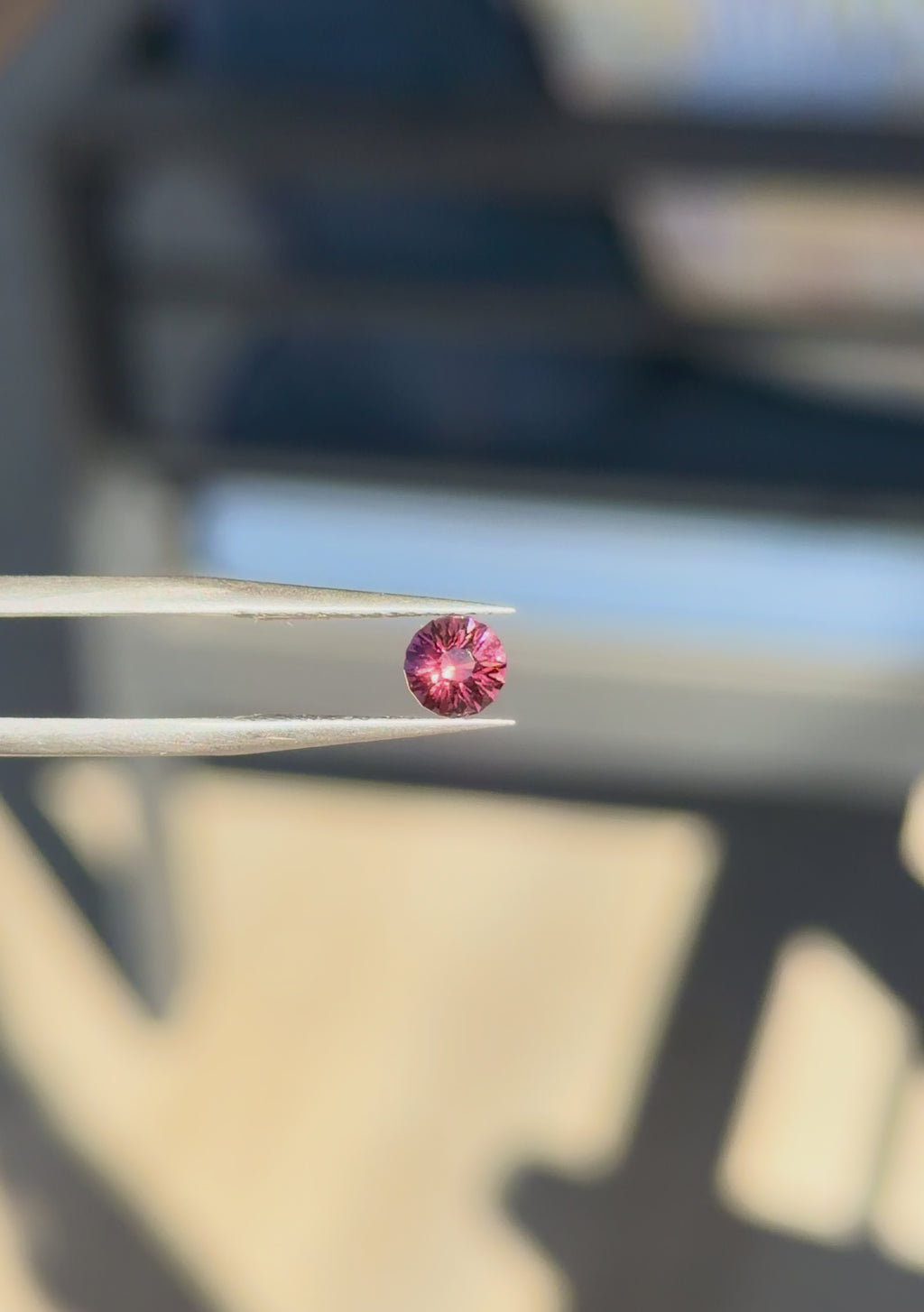 Tunduru Garnet .68 ct. Round