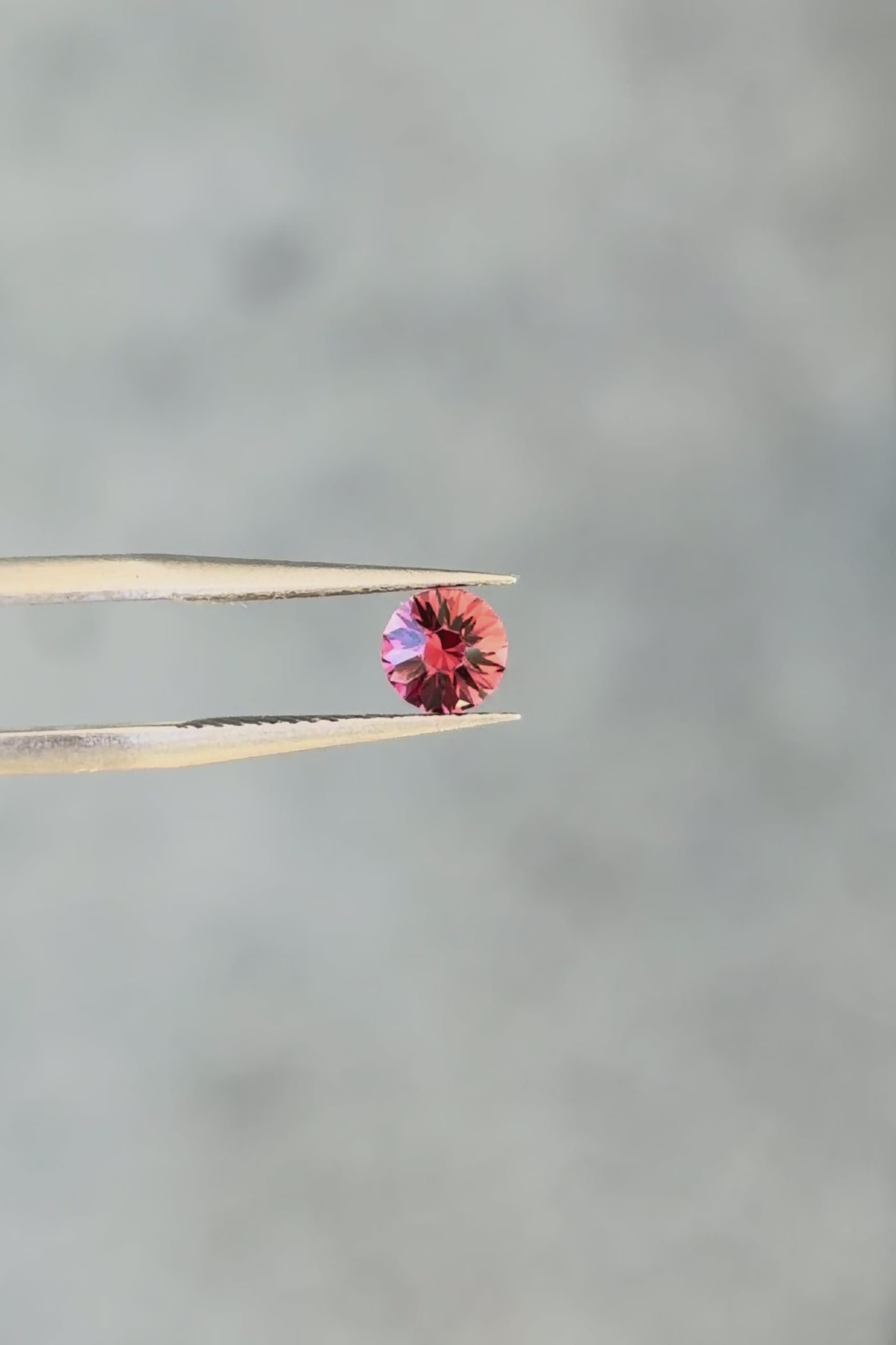 Tunduru Garnet .68 ct. Round