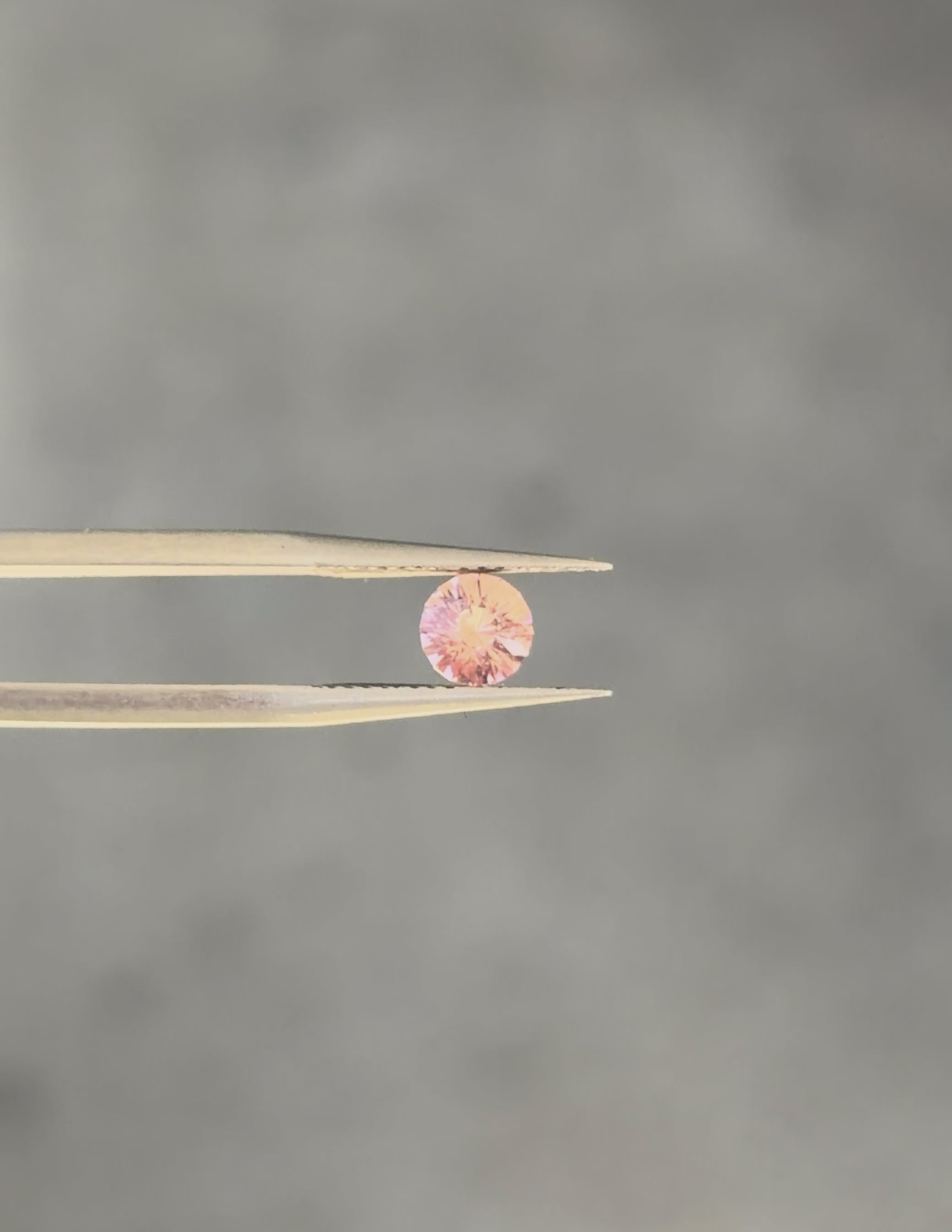 Tunduru Garnet .67 ct.  Round